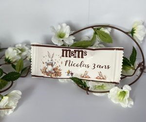 M&M personnalisés sur le thème des lapins et des écureuils